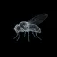 FLYBRAIN icon