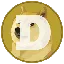 DOGE icon